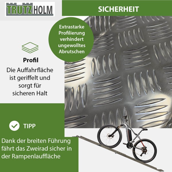 TRUTZ HOLM Rampe mit Profil zur Erhöhung der Sicherheit