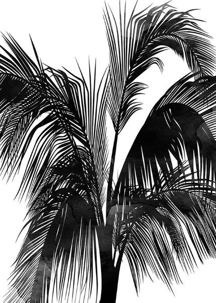 Künstlerische Tapete mit Palmwedeln in Schwarz und Weiß, Aquarell-Effekt.