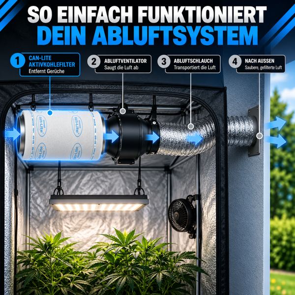 Infografik zur Funktionsweise eines Abluftsystems in einer Growbox mit Aktivkohlefilter, Abluftventilator, Abluftschlauch und Luftauslass.