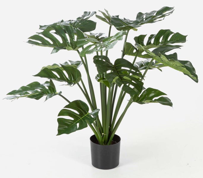 Künstliche Monstera Pflanze im schwarzen Kunststofftopf mit charakteristisch geschlitzten grünen Blättern.