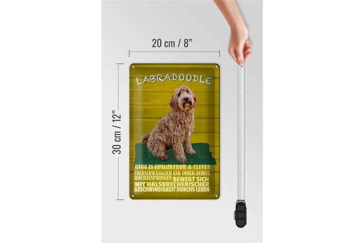 Blechschild Spruch 20x30cm Labradoodle Hund froh und clever