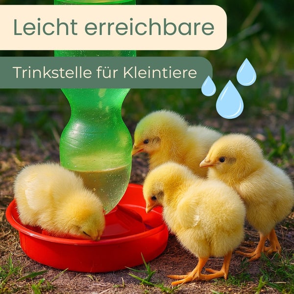 Tränkstelle für Küken im Freien