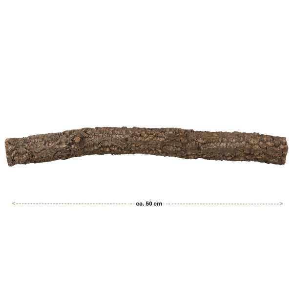 Naturkork-Ast für Terrarium oder Dekoration, Länge circa 50 Zentimeter.