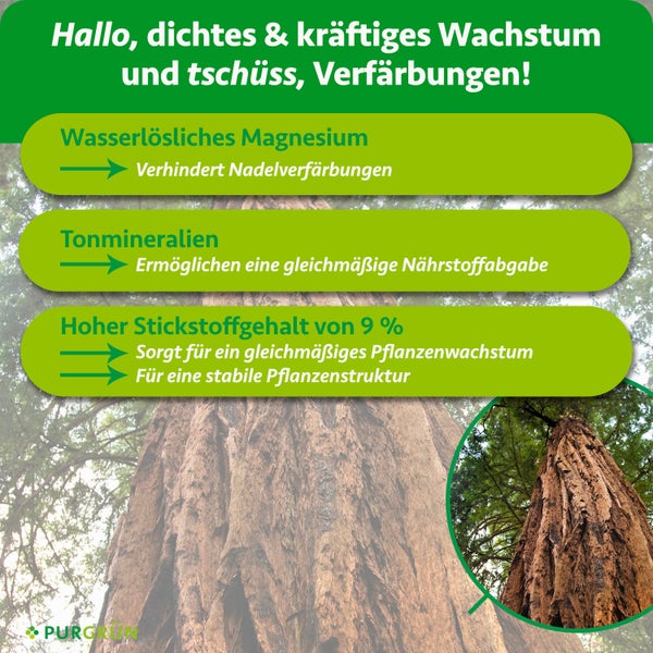 Infografik zu Purgrün Dünger: Magnesium gegen Nadelverfärbung, Tonmineralien für Nährstoffabgabe und 9 Prozent Stickstoff für Wachstum. Purgrün Logo.