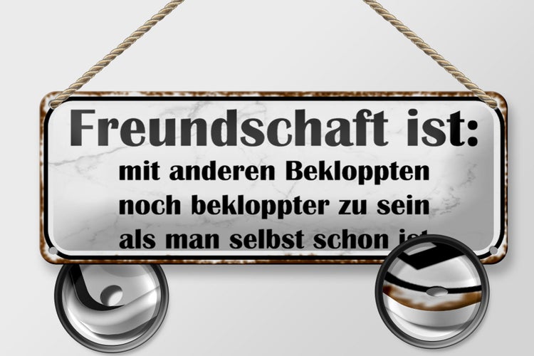 Blechschild Spruch 27x10cm Freundschaft ist noch bekloppter Dekoration