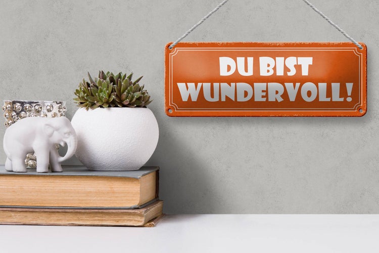 Blechschild Spruch 27x10cm Du bist wundervoll Dekoration