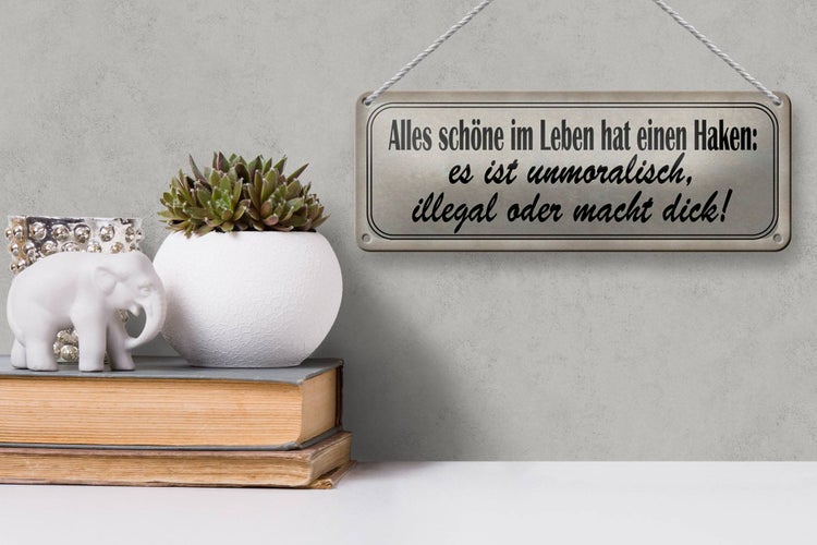 Blechschild Spruch 27x10cm alles schöne hat einen Haken Dekoration