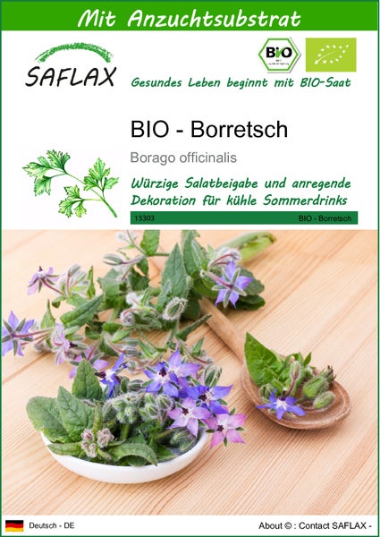 SAFLAX  - BIO - Borretsch - Borago officinalis - 40 Samen - Mit keimfreiem Anzuchtsubstrat