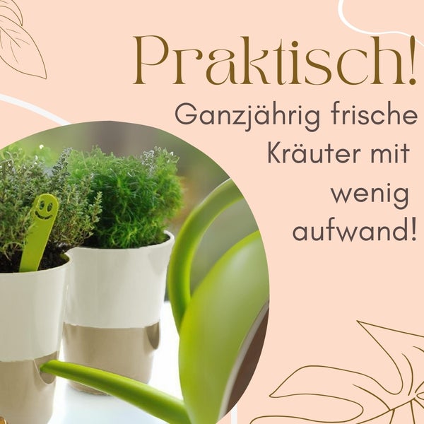 Dekorative Kräutertöpfe und eine Gießkanne für frische Kräuter