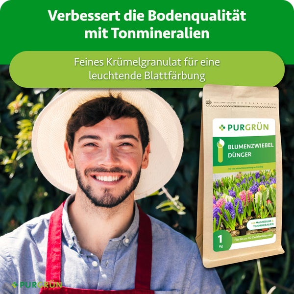 Ein fröhlicher Gärtner mit Hut und Purgrün Blumenzwiebel Dünger Packung mit Magnesium und Tonmineralien für eine reiche Blütenbildung.