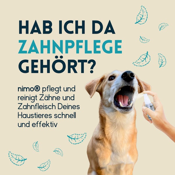 nimo® Zahnpflegespray • Dentalspray für Hunde, Katzen und Haustiere mit Minze
