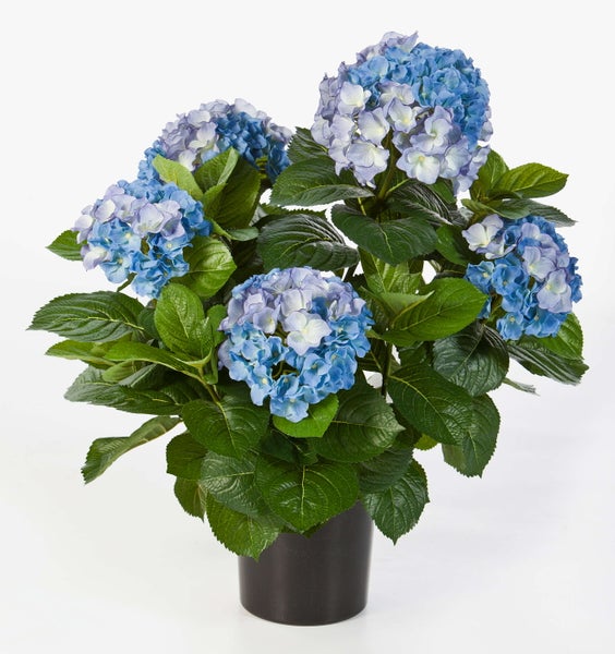 Künstliche Hortensie in Blau mit grünen Blättern.
