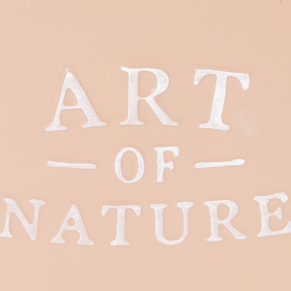 Art of Nature Logo