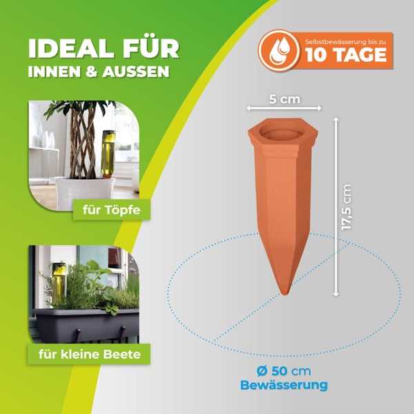 Topfpflanzenbewässerung „Hydro Wine“ 4 Stk. Tonkegel für Wein- & PET-Flaschen