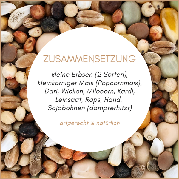Zusammensetzung aus kleinen Erbsen, Mais, Dari, Wicken, Milocorn, Kardi, Leinsaat, Raps und Sojabohnen