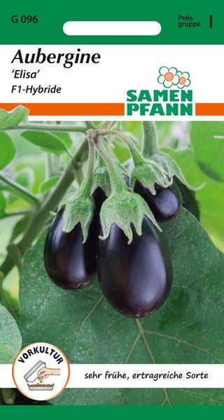 Auberginensamen Elisa F1-Hybride
