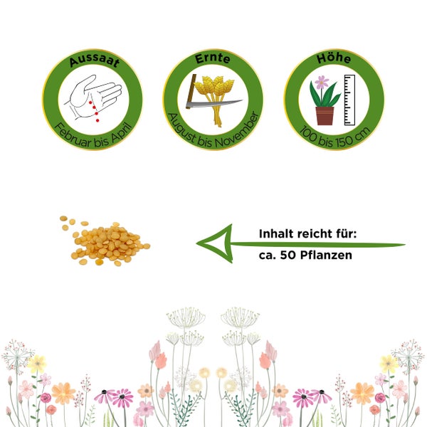 Aussaat Februar bis April, Ernte August bis November, Wuchshöhe 100 bis 150 Zentimeter, Inhalt für circa 50 Pflanzen.