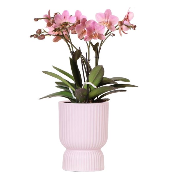 Übertopf Diabolo - klassische Form - zarte Pastellfarben - rosa - passend für 12cm Töpfe