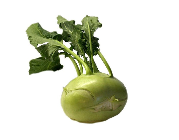 Bio Hochbeet-Set „Frühstart“, Bio Jungpflanzen, Bio Gemüse anbauen, Garten, Balkon, 2x Bio Spinat, 2x Bio Kohlrabi, 2x Bio Mangold, 2x Bio Rucola, 2x Bio Kopfsalat