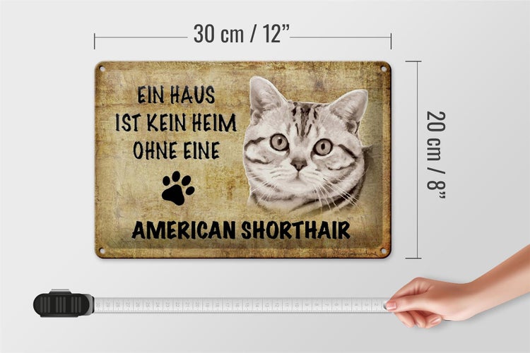 Blechschild Spruch 30x20cm American Shorthair ohne kein Heim