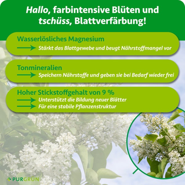 Hydraulischer Flaschenwagenheber aus Stahl, Tragkraft 50 Tonnen, Hubhöhe 280 bis 450 Millimeter.