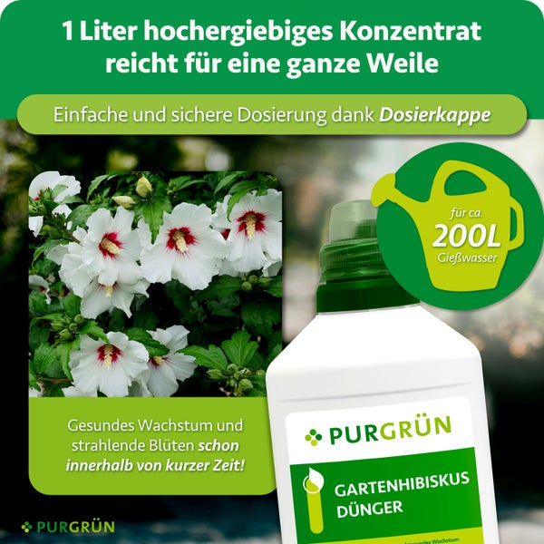 Eine Flasche Purgrün Gartenhibiskus Dünger als ergiebiges Konzentrat für gesundes Pflanzenwachstum mit Dosierkappe.