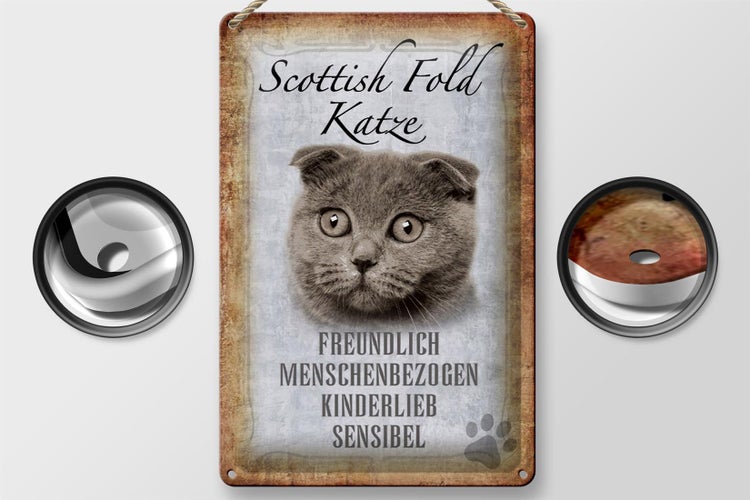 Blechschild Spruch 20x30cm Scottish Fold Katze Schild