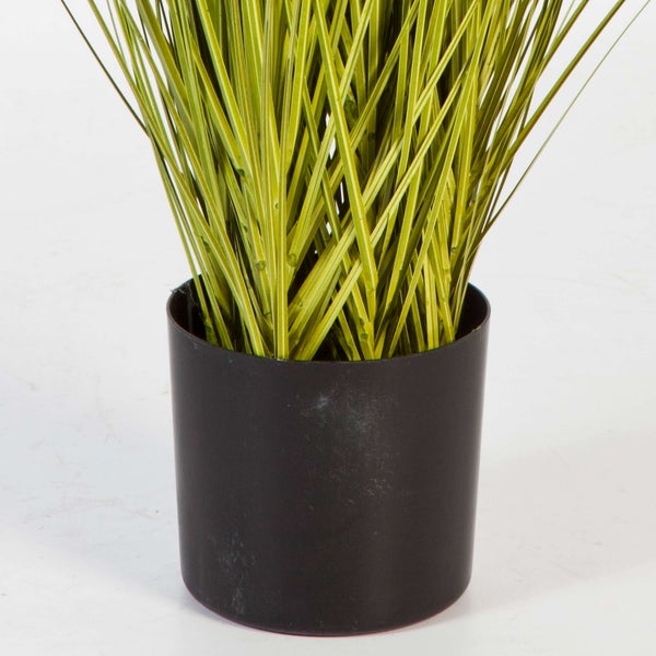 Künstliches Ziergras mit gestreiften Halmen in einem schwarzen Kunststofftopf.
