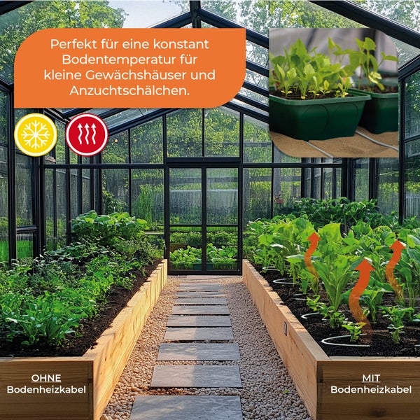 Innenansicht eines Gewächshauses mit Vergleich von Beeten ohne und mit Bodenheizkabel. Rechts steigt Wärme auf. Symbole für Frostschutz und Wärme.