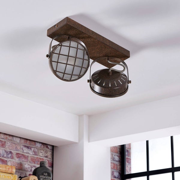 Deckenleuchte mit zwei Strahlern im Vintage-Stil