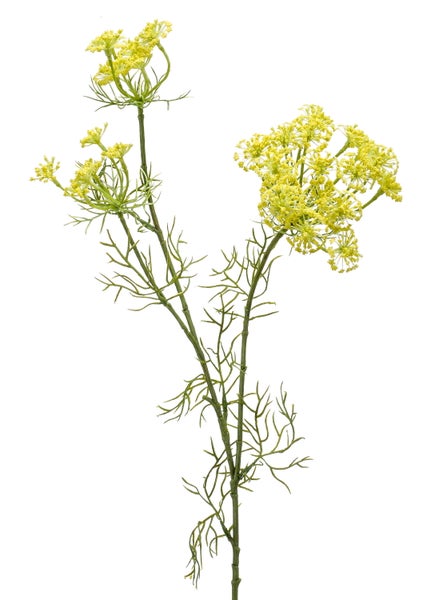 Künstlicher Fenchelzweig mit gelben Blüten und grünen Stielen.