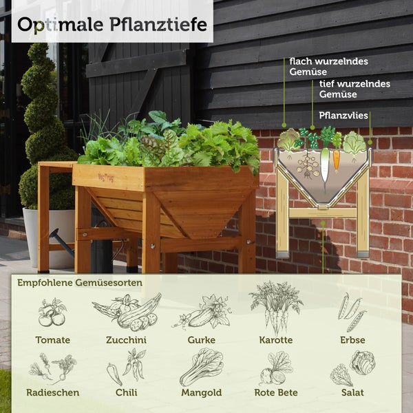 Infografik für ein V-förmiges Hochbeet aus Holz mit Hinweisen zur Pflanztiefe für Gemüse und einer Liste empfohlener Gemüsesorten.