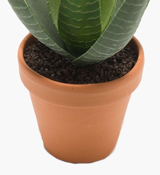 Künstliche Aloe Vera Pflanze im Terrakottatopf mit dunklem Substrat.
