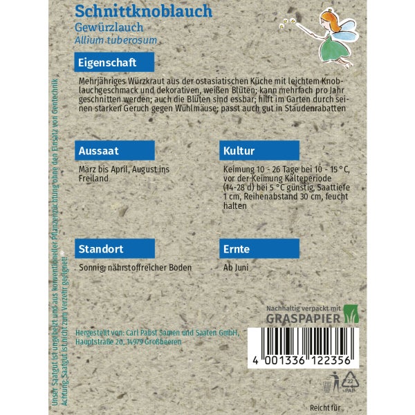 Schnittknoblauch Gewürzlauch Samen von Grüne Fee