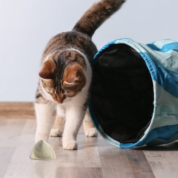 Katzen Spielkissen aus reiner Schurwolle mit leckerer Katzenminze Füllung und betörendem Baldrian. Handgenäht in Deutschland
