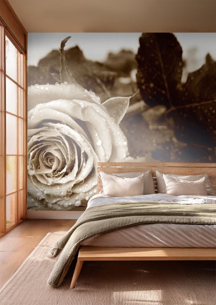 Technische Zeichnung einer Duschabtrennung mit Maßangaben