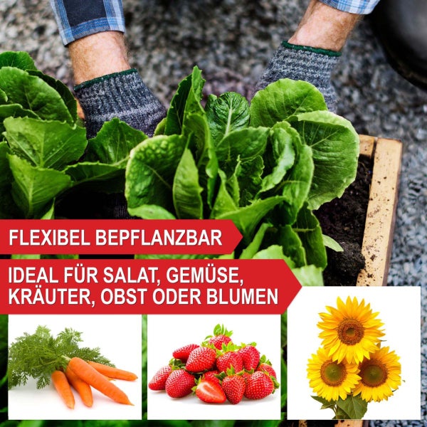 Person mit Gartenhandschuhen pflanzt Salat in ein Hochbeet aus Holz, mit Abbildungen von Karotten, Erdbeeren und Sonnenblumen.
