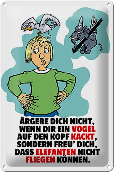 Blechschild Spruch 20x30cm Freu dich Elefanten nicht fliegen