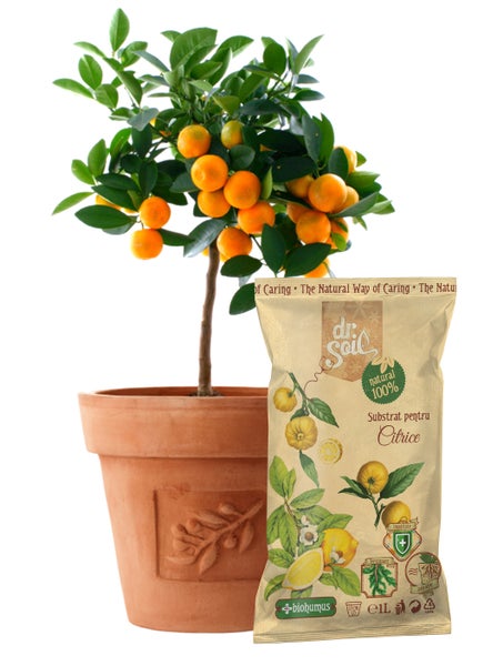 Rolle Unkrautvlies für den Garten