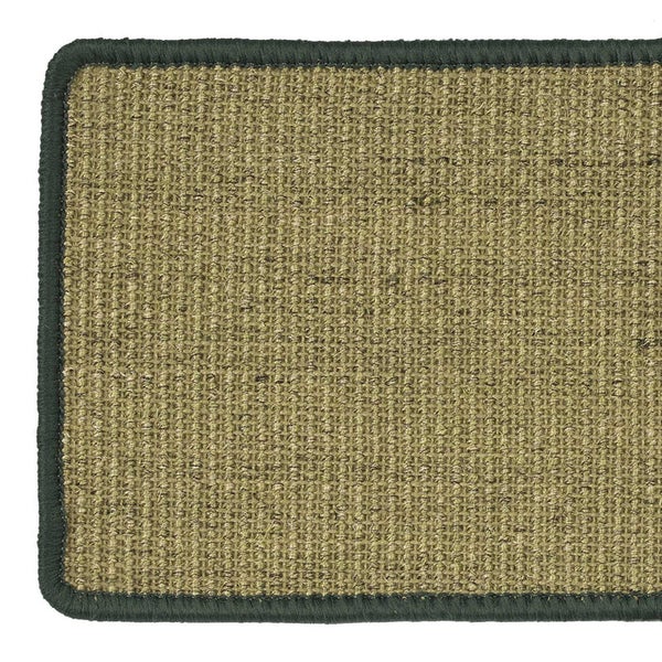 FLOORDIREKT Stufenmatte aus Sisal - Pure Nature - Umkettelt & Selbstklebend - Grün - 23,5 x 65 cm - Rechteckig ohne Lippe