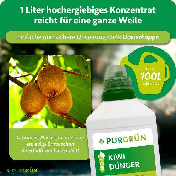 Bosch Professional Akku-Stichsäge GST 18 Volt-125 B mit L-BOXX Transportkoffer, Absaugset und Spanreißschutz.