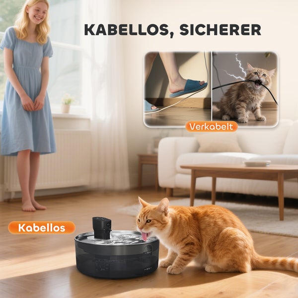 Kabelloser Trinkbrunnen für Katzen im Wohnzimmer, mit Vergleich zu einem gefährlichen, kabelgebundenen Brunnen
