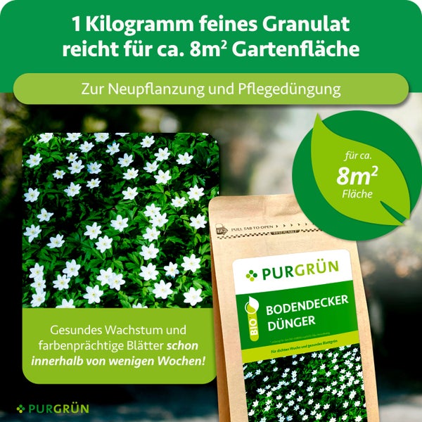 Purgrün Bio-Bodendecker-Dünger, 1 Kilogramm feines Granulat für circa 8 Quadratmeter Gartenfläche, zur Neupflanzung und Pflegedüngung.