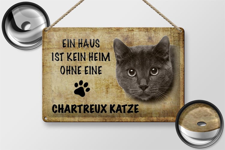 Blechschild Spruch 30x20cm Chartreux Katze ohne kein Heim