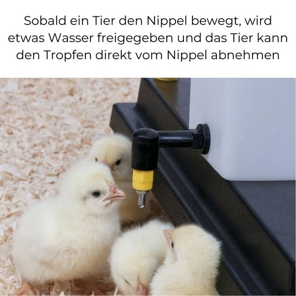 Nippeltränke Wassertränke mit Haltebügel 1000 ml