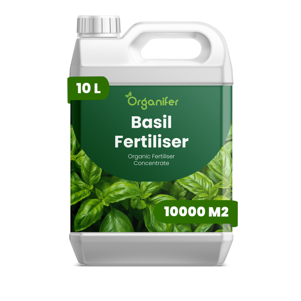 Organifer Basilikum-Dünger, organisches Düngerkonzentrat, 10 Liter für 10000 Quadratmeter.