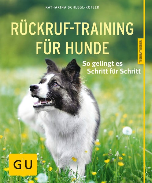 Rückruf-Training für Hunde So gelingt es Schritt für Schritt