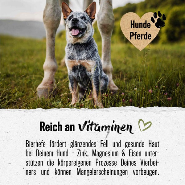 ALPHAZOO Bierhefe Pulver 750g für Hunde und Katzen I Reine Hefe I Vitamin B Komplex
