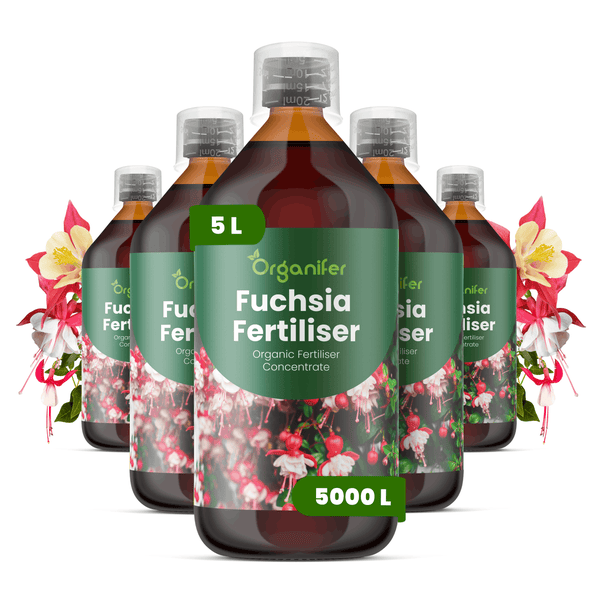 Fünf Flaschen Organifer Fuchsien-Dünger, organisches Flüssigdünger-Konzentrat, 5 Liter Packung.