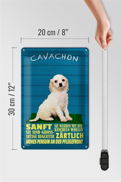 Blechschild Spruch 20x30cm Cavachon Hund sanft zärtlich
